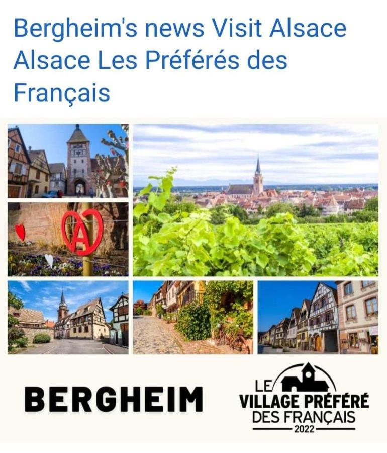 La Maison Des Tanneurs Ribeauvillé Exteriér fotografie