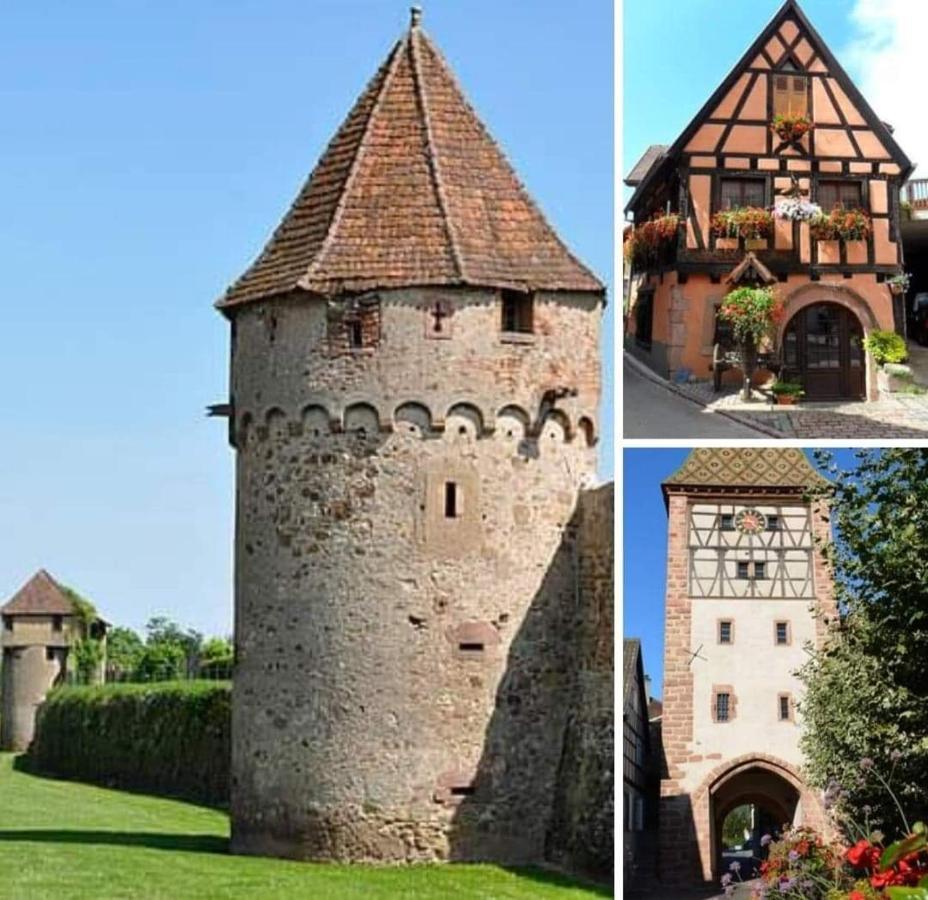 La Maison Des Tanneurs Ribeauvillé Exteriér fotografie