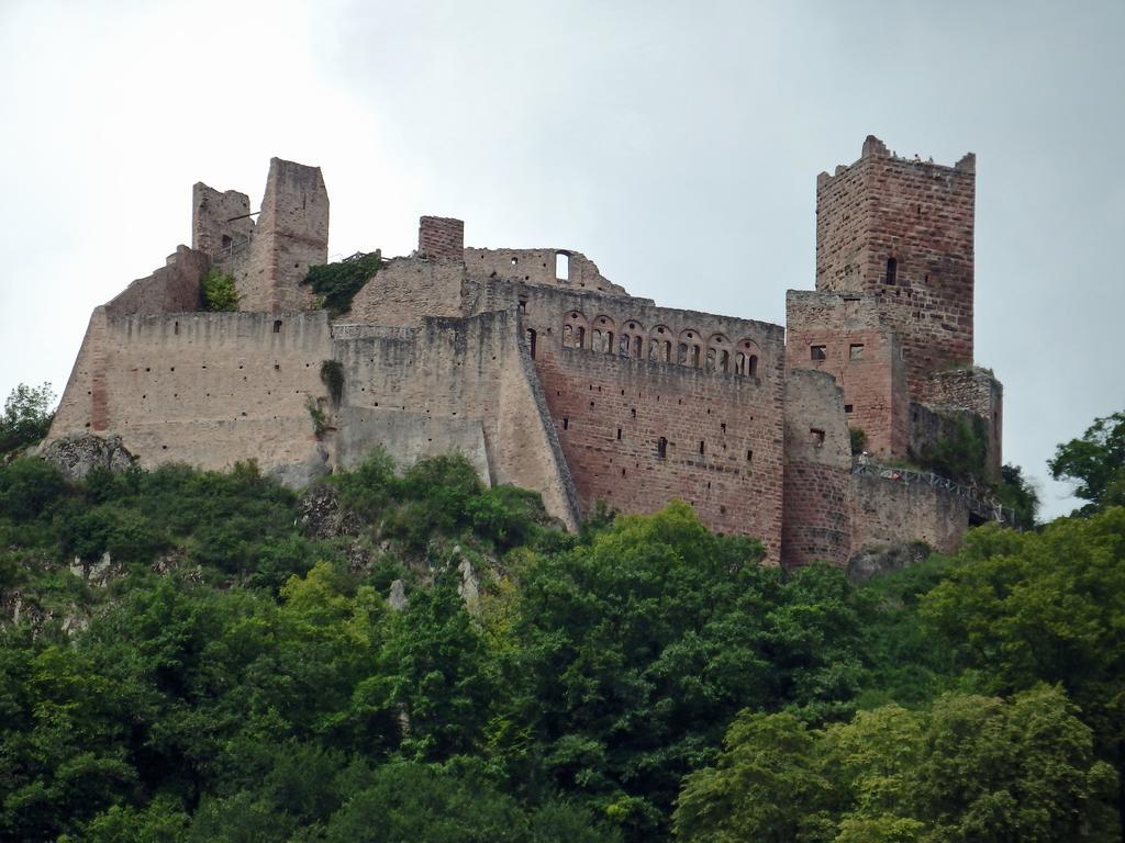 La Maison Des Tanneurs Ribeauvillé Exteriér fotografie